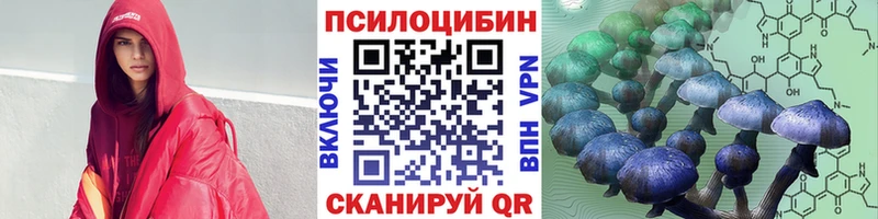 Псилоцибиновые грибы Cubensis  Реутов 