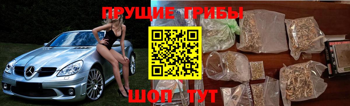 Псилоцибиновые грибы Psilocybe  Вход с VPN  Псилоцибиновые грибы Magic Shrooms  Реутов 